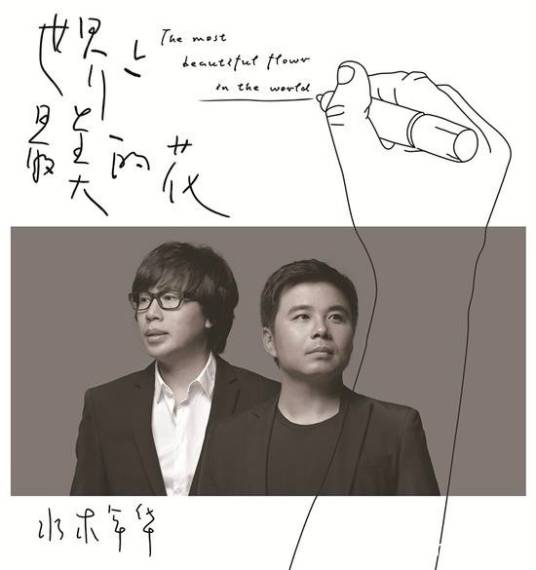 世界上最美的花（水木年华歌曲）