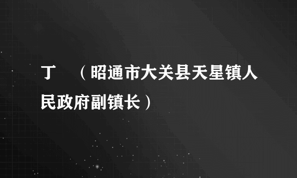 丁玥（昭通市大关县天星镇人民政府副镇长）