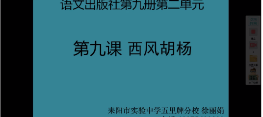 《西风胡杨》第二课时