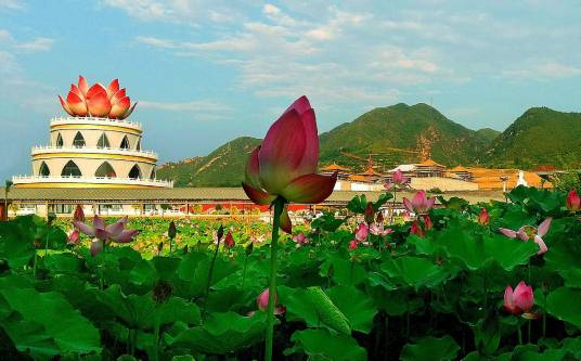 洛阳灵山莲花公园