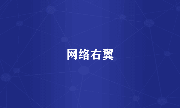 网络右翼