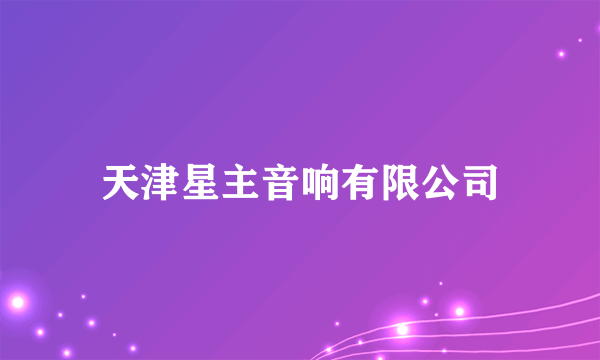 天津星主音响有限公司