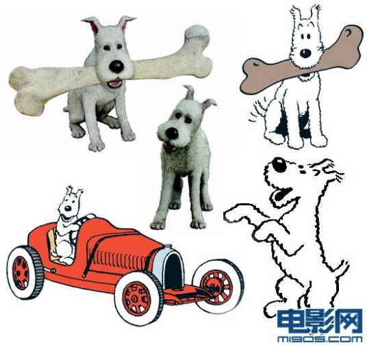 白雪（漫画《丁丁历险记》里主角丁丁的宠物）