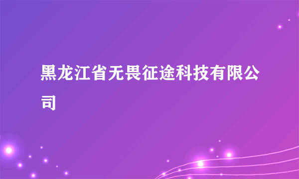 黑龙江省无畏征途科技有限公司