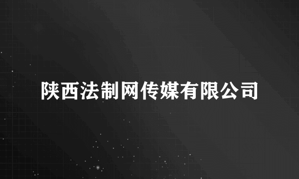 陕西法制网传媒有限公司