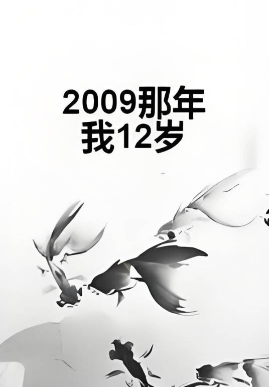 2009那年我12岁
