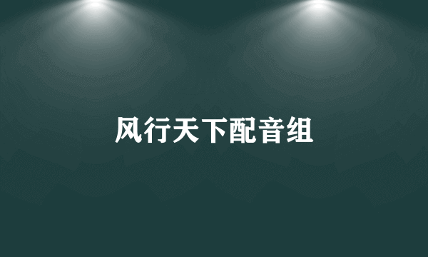 风行天下配音组