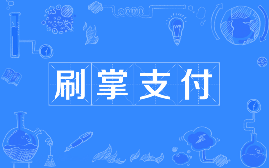 刷掌支付