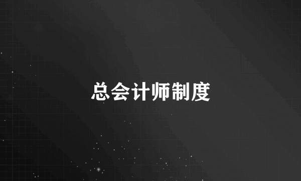 总会计师制度