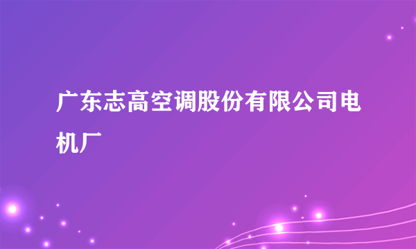 广东志高空调股份有限公司电机厂