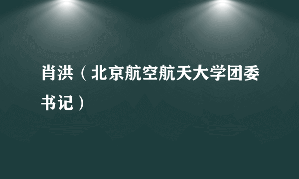 肖洪（北京航空航天大学团委书记）