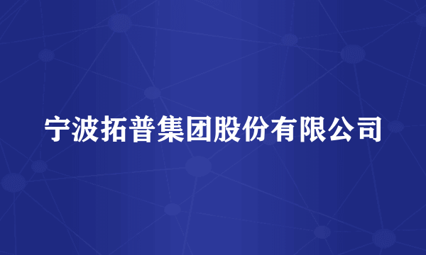 宁波拓普集团股份有限公司