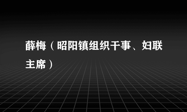薛梅（昭阳镇组织干事、妇联主席）