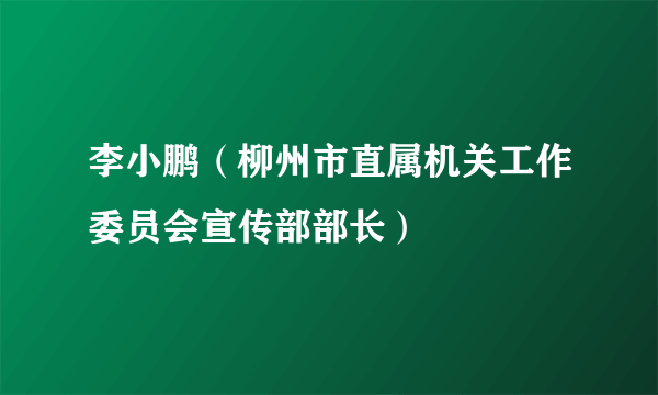 李小鹏（柳州市直属机关工作委员会宣传部部长）