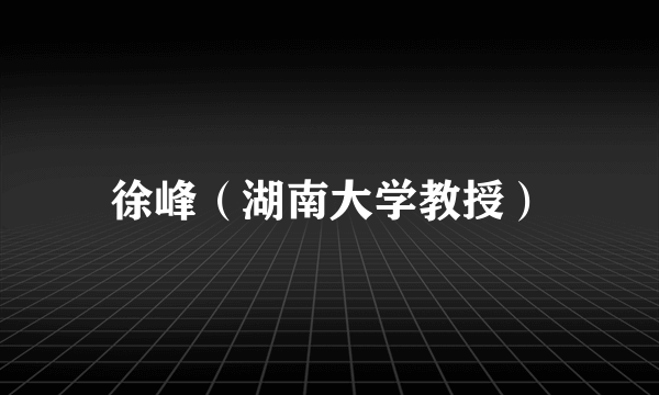 徐峰（湖南大学教授）