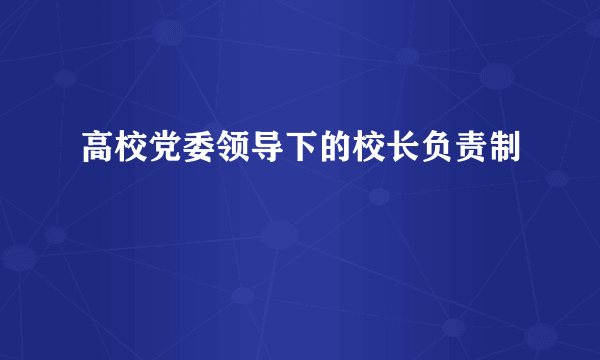 高校党委领导下的校长负责制