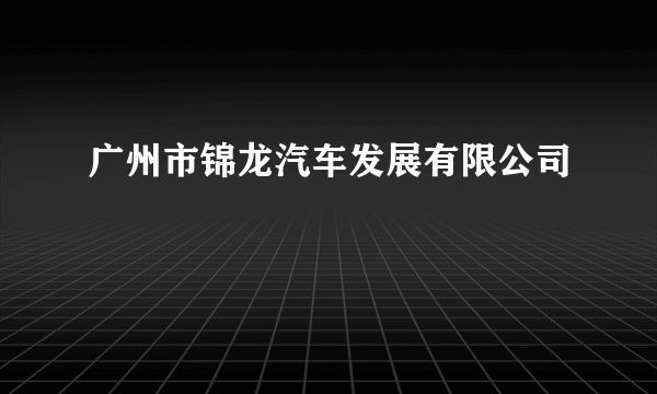 广州市锦龙汽车发展有限公司