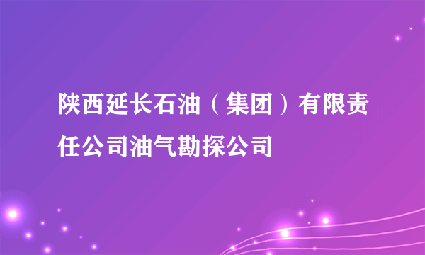 陕西延长石油（集团）有限责任公司油气勘探公司
