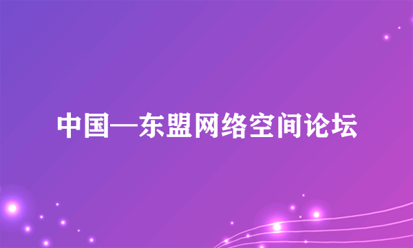中国—东盟网络空间论坛