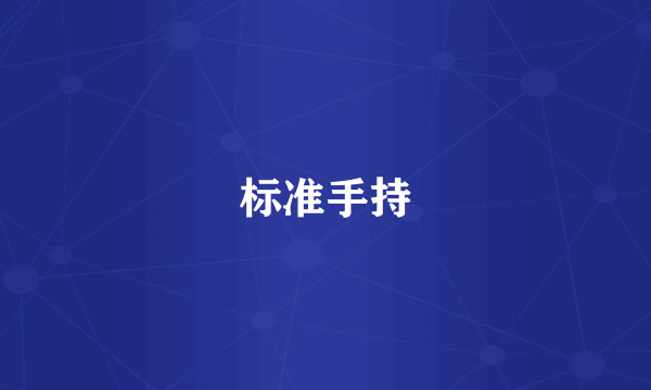 标准手持