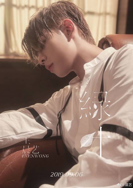 绿叶（王晨艺演唱歌曲）