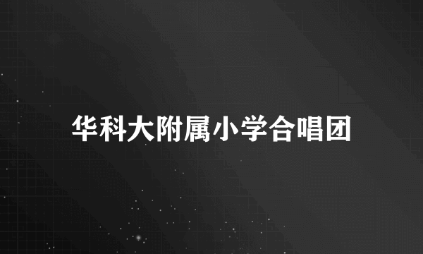 华科大附属小学合唱团