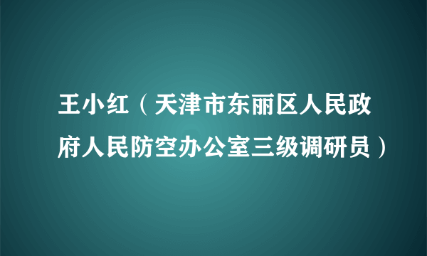 王小红（天津市东丽区人民政府人民防空办公室三级调研员）