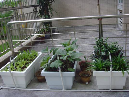 家庭种菜