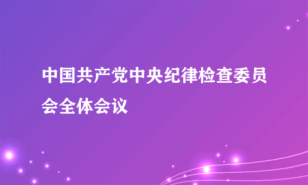 中国共产党中央纪律检查委员会全体会议