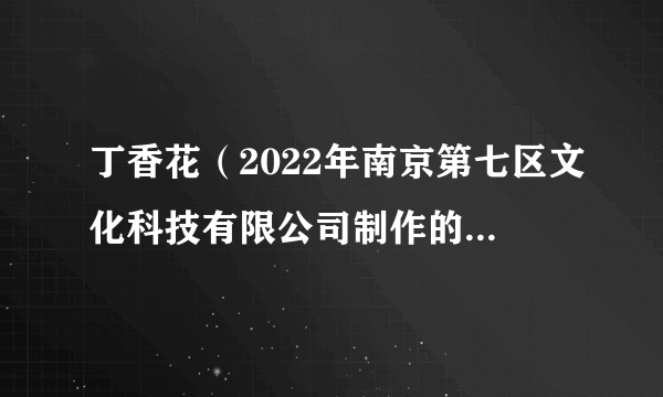 丁香花（2022年南京第七区文化科技有限公司制作的动画作品）