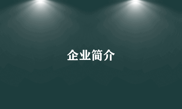 企业简介