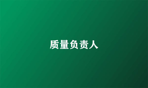 质量负责人
