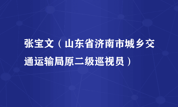 张宝文（山东省济南市城乡交通运输局原二级巡视员）