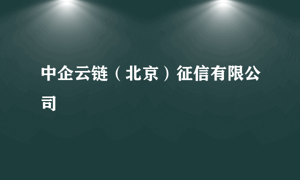 中企云链（北京）征信有限公司