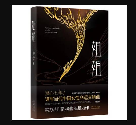 姐姐（2019年北京十月文艺出版社出版的图书）