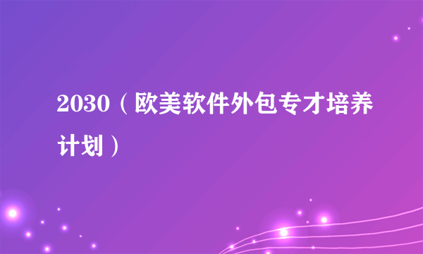 2030（欧美软件外包专才培养计划）