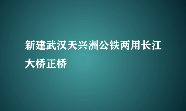 新建武汉天兴洲公铁两用长江大桥正桥