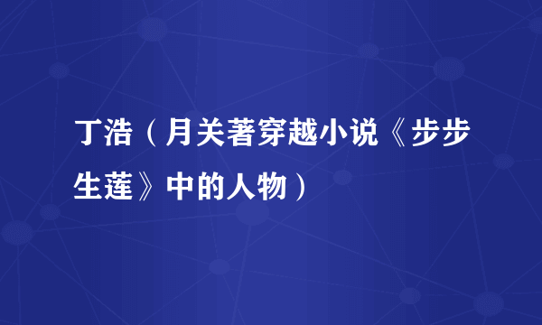丁浩（月关著穿越小说《步步生莲》中的人物）