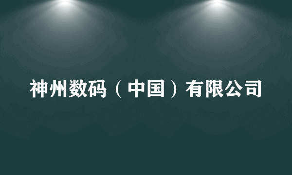 神州数码（中国）有限公司