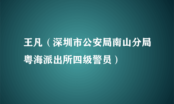 王凡（深圳市公安局南山分局粤海派出所四级警员）