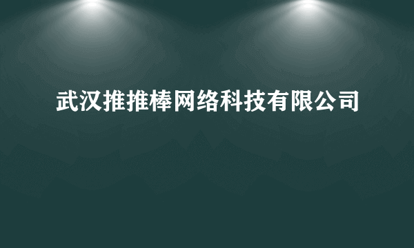 武汉推推棒网络科技有限公司