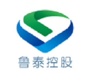 山东鲁泰控股集团有限公司