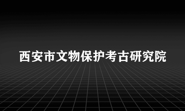 西安市文物保护考古研究院