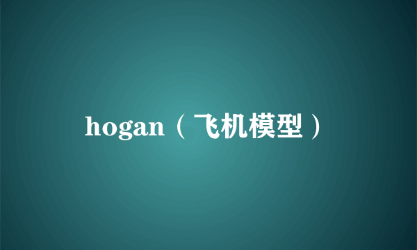 hogan（飞机模型）