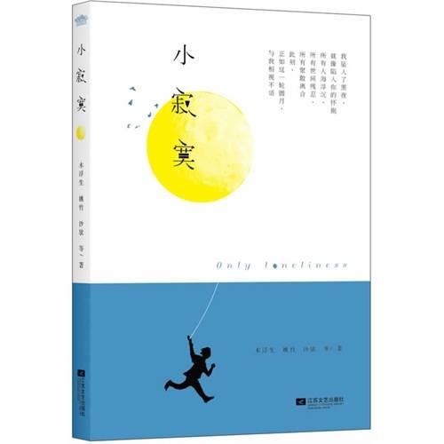 小寂寞（2014年江苏文艺出版社出版的图书）