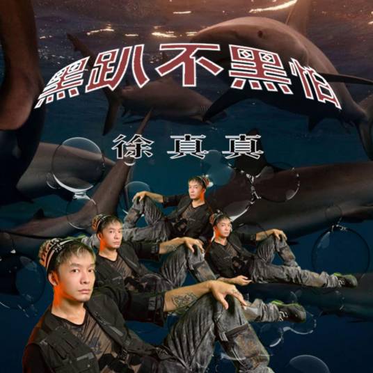 黑趴不黑怕