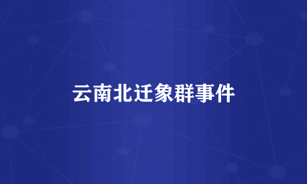 云南北迁象群事件