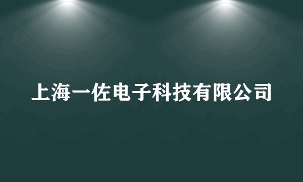 上海一佐电子科技有限公司