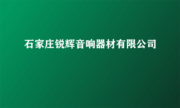 石家庄锐辉音响器材有限公司
