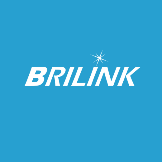 BRILINK Consulting Company Limited